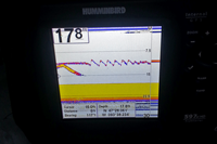image of Humminbird graph showing Rainbow Trout bumping a lure